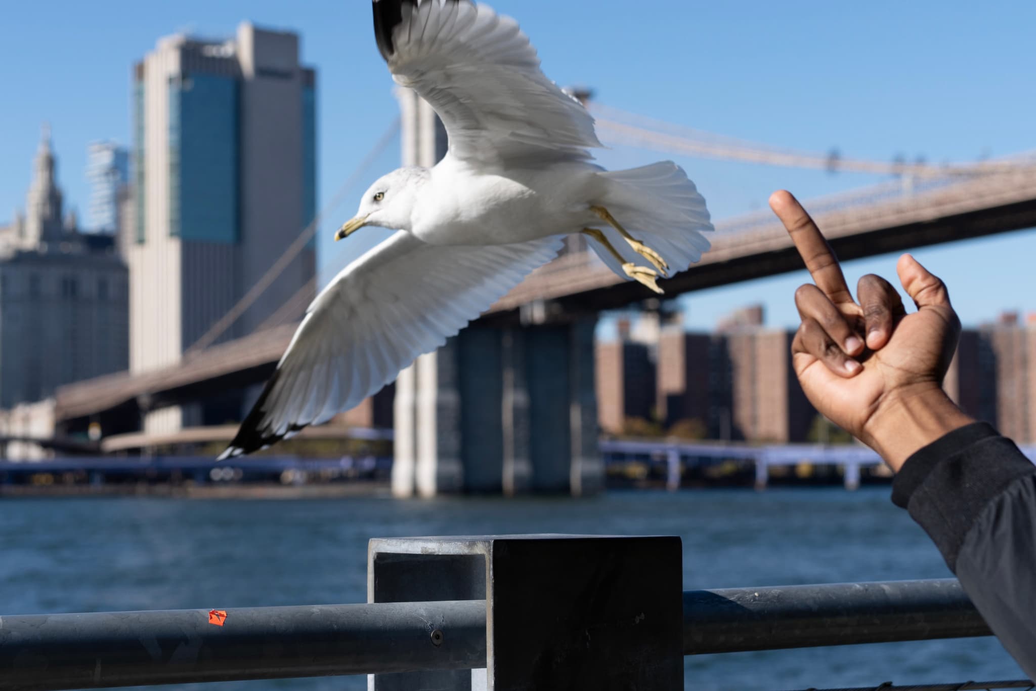 Up yours government drone