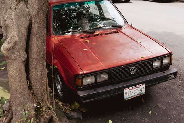 VW in CDMX