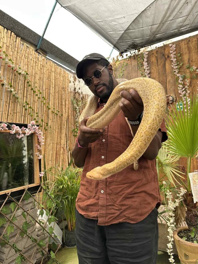 My anaconda don't want none unless you got buns hun